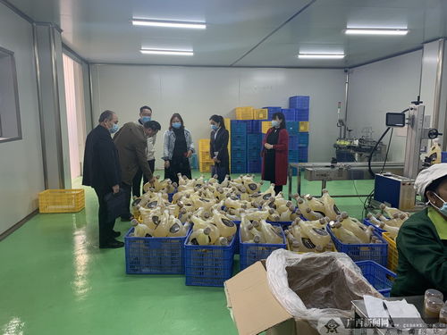 建行河池分行 精準施策支持抗擊疫情與復工復產 兩不誤——以服裝行業為例